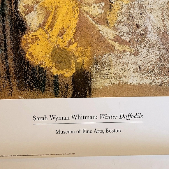 NWOT Winter Daffodils Print - Picture 3 of 7